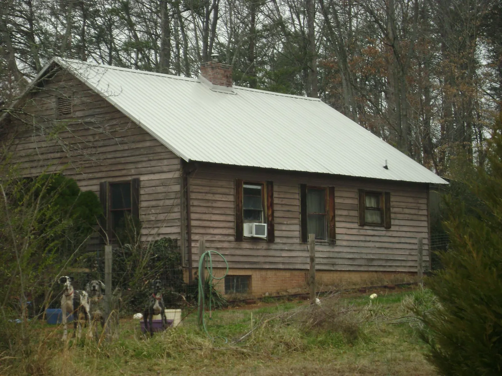White metal roof on an old wood sided farmhouse, from a Asphalt Shingle Roof Repair job in Holiday